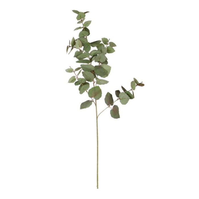 TRALCIO EUCALYPTO CM.98 VERDE SFUMATO